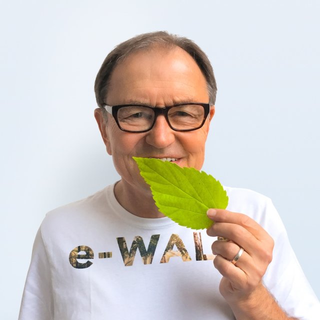 Titelbild für eWald Pflanzen