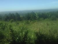 Bild für Regenerations- und Wiederherstellungsprogramm für Farmen am Berg Elgon (Mt. Elgon FRRP)