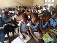 Bild für Jugend in der Landwirtschaft und Klimaresilienz: Nachhaltiger Umweltschutz und Landmanagement in Sierra Leone