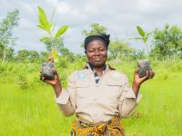 Bild für Plant-for-Ghana