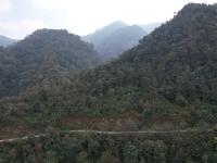 Bild für Neues Wachstum Resiliente Gemeinschaften Wiederaufforstung Nepal