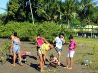Bild für Mangroven der Hoffnung: Wiederherstellung von Mangroven auf Gemeindeebene in Itacaré, Brasilien