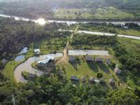 Bild für Yorenka Green Legacy: 3 Millionen Bäume für die Erneuerung des Amazonas